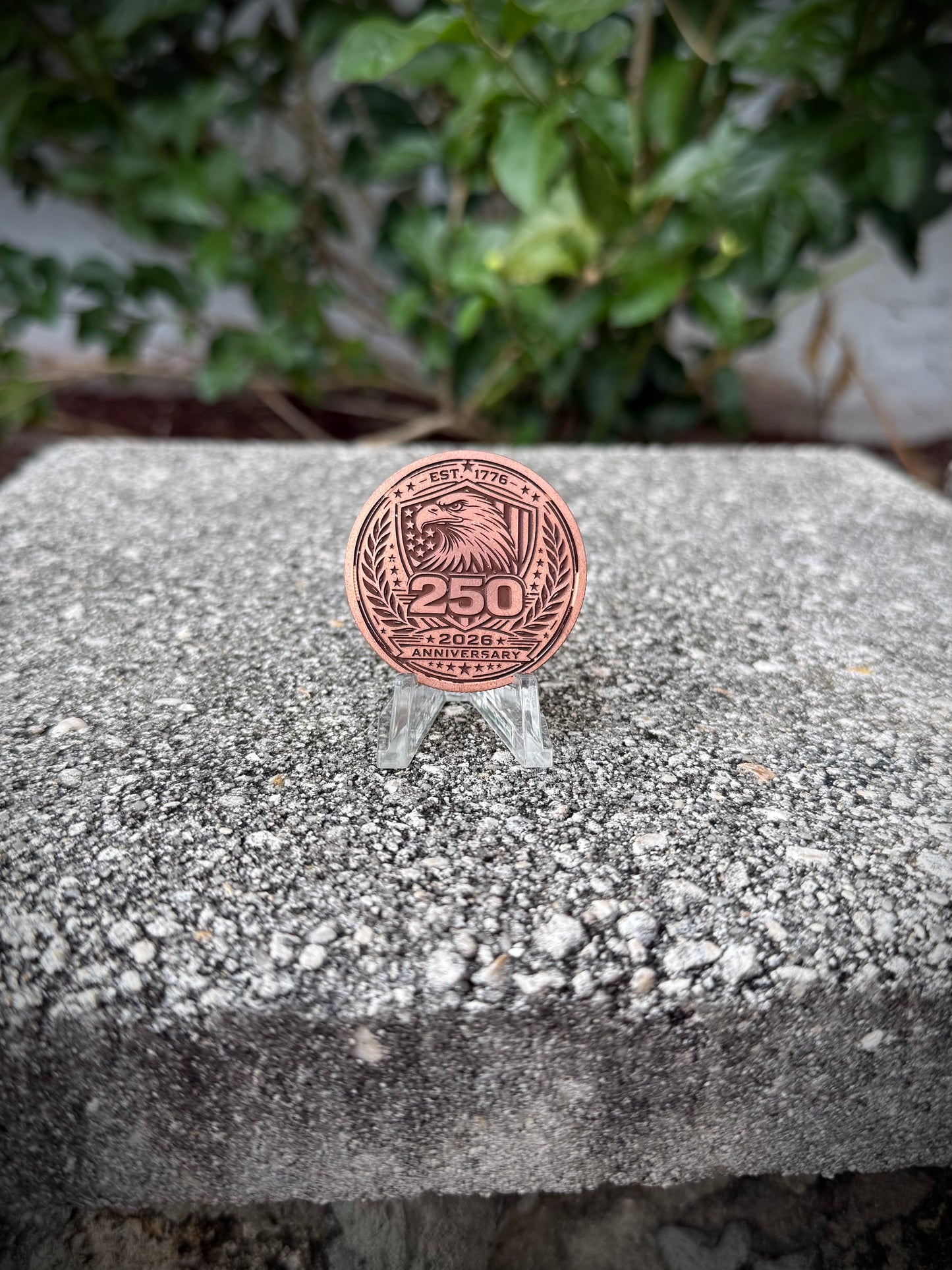 250 Copper Coin 40mm