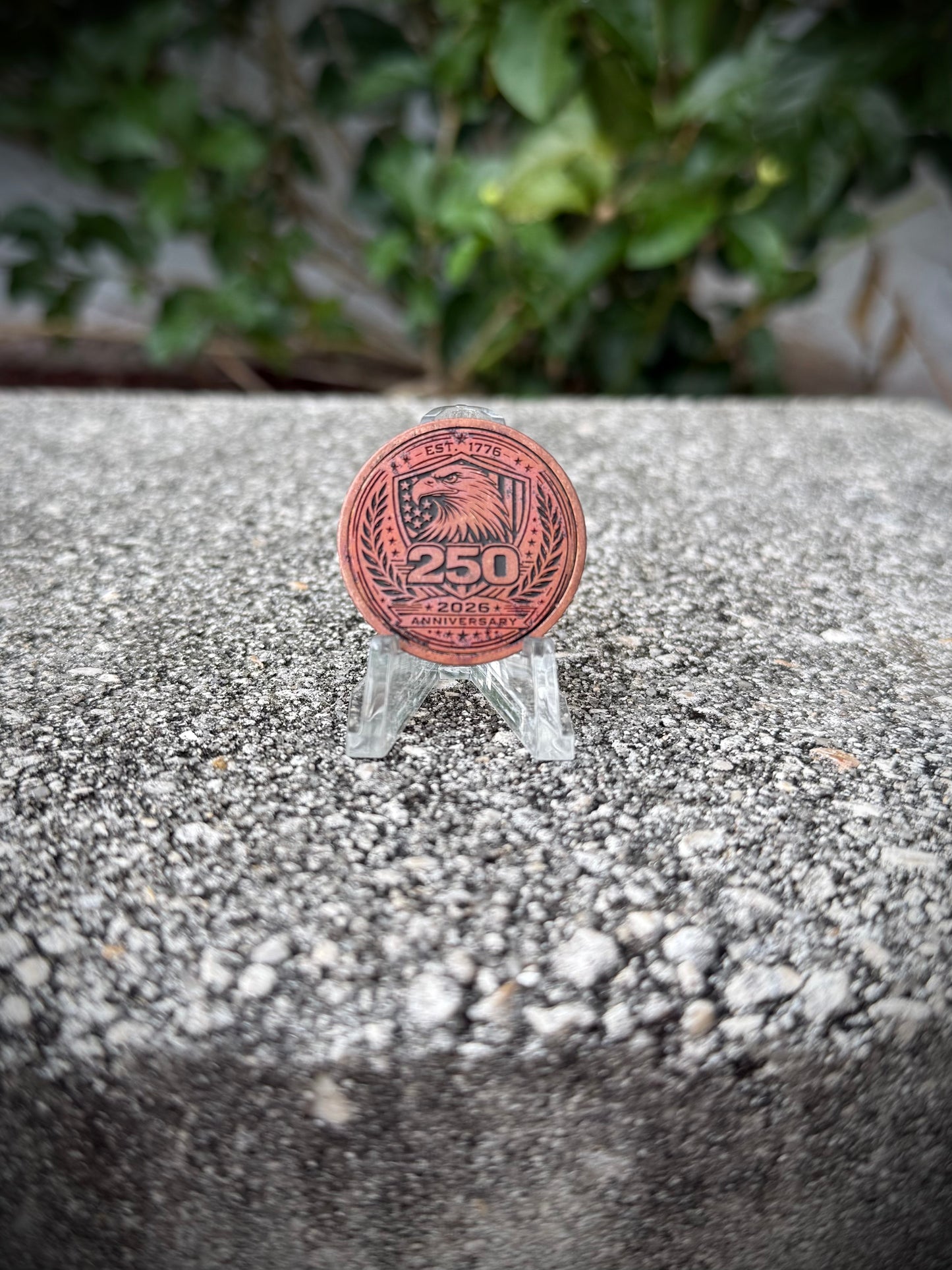 250 Distressed Cu Coin 30mm
