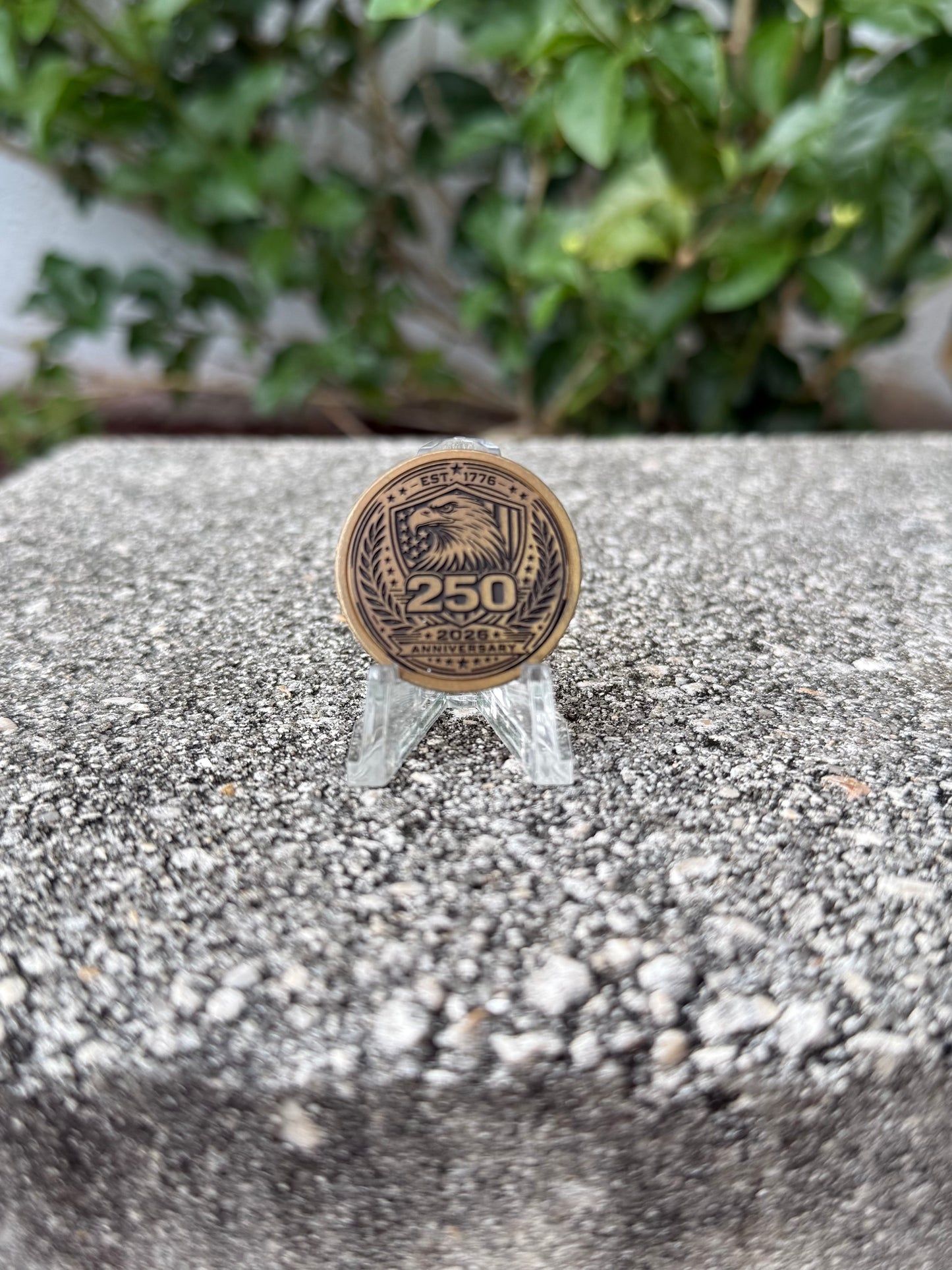 250 Brass Coin 30mm