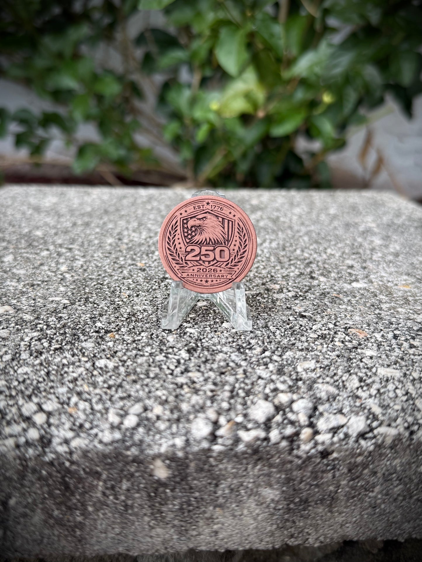 250 Copper Coin 30mm