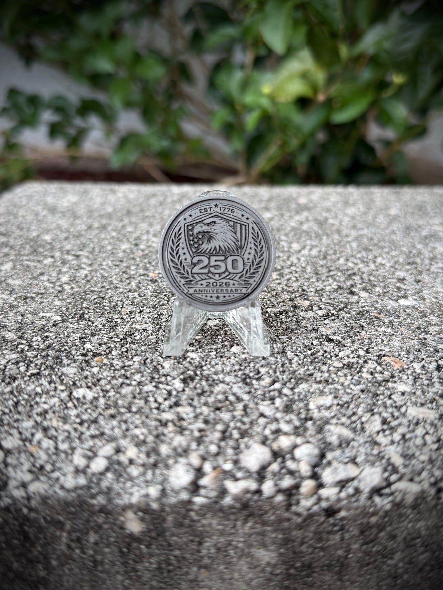 250 SS Coin 30mm